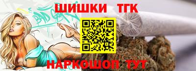индика Гай