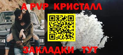 индика Гай