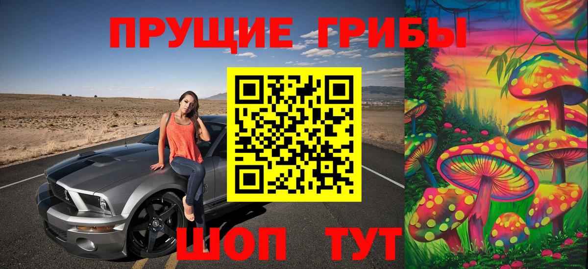 Галлюциногенные грибы Psilocybe Нерюнгри