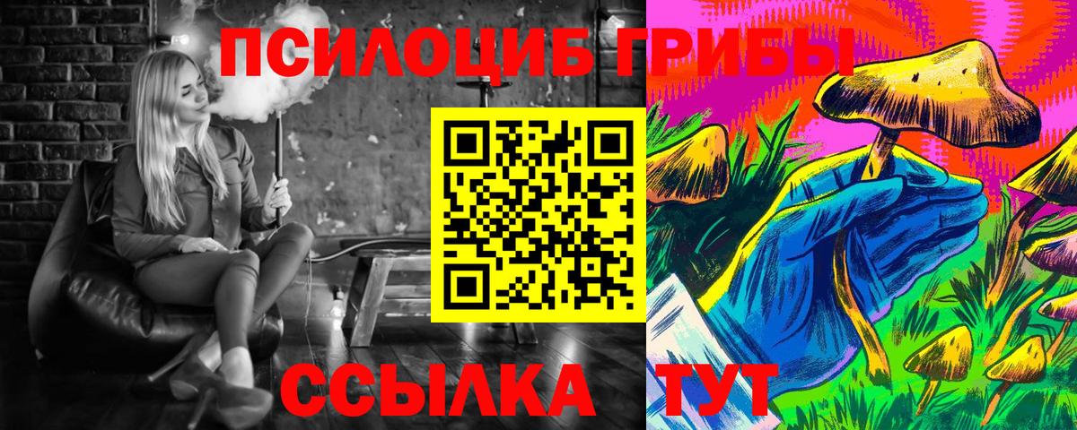 Нерюнгри  где купить   Псилоцибиновые грибы Psilocybe  Вход с VPN  Галлюциногенные грибы GOLDEN TEACHER 